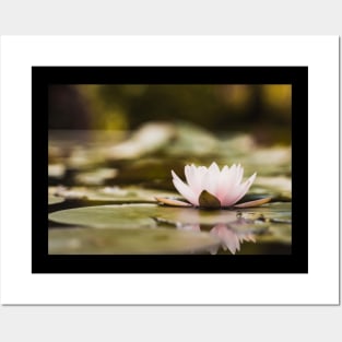 Meditation Wall Art Print - Water Lily Meditation - canvas, Photo print, artboard print, poster Canvas Print Posters and Art